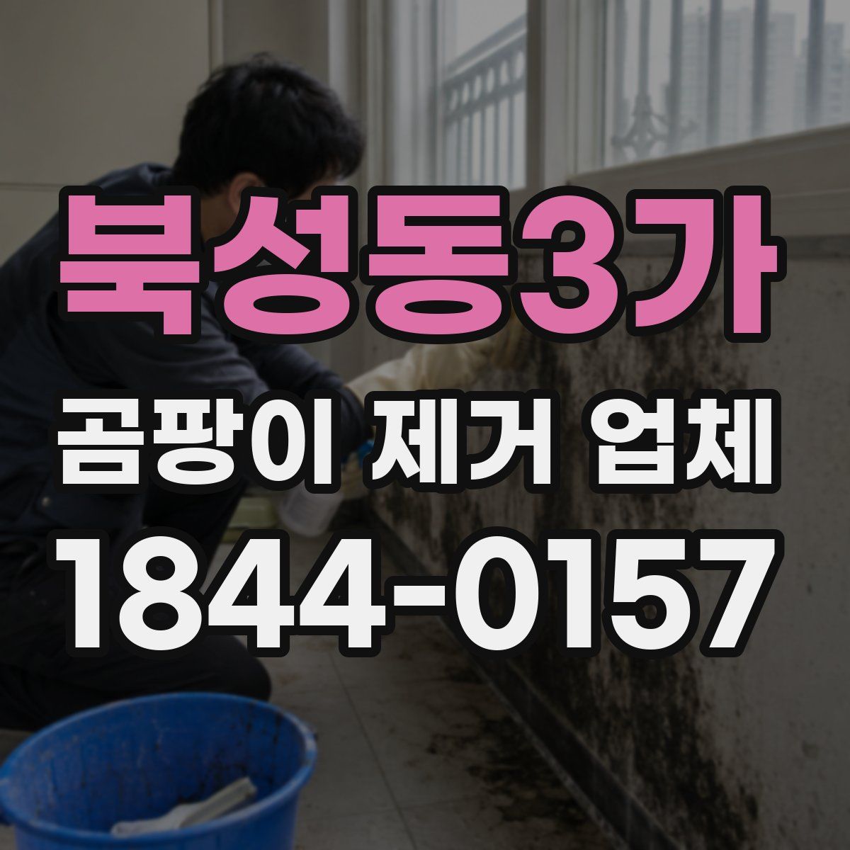 북성동3가 곰팡이 제거 업체