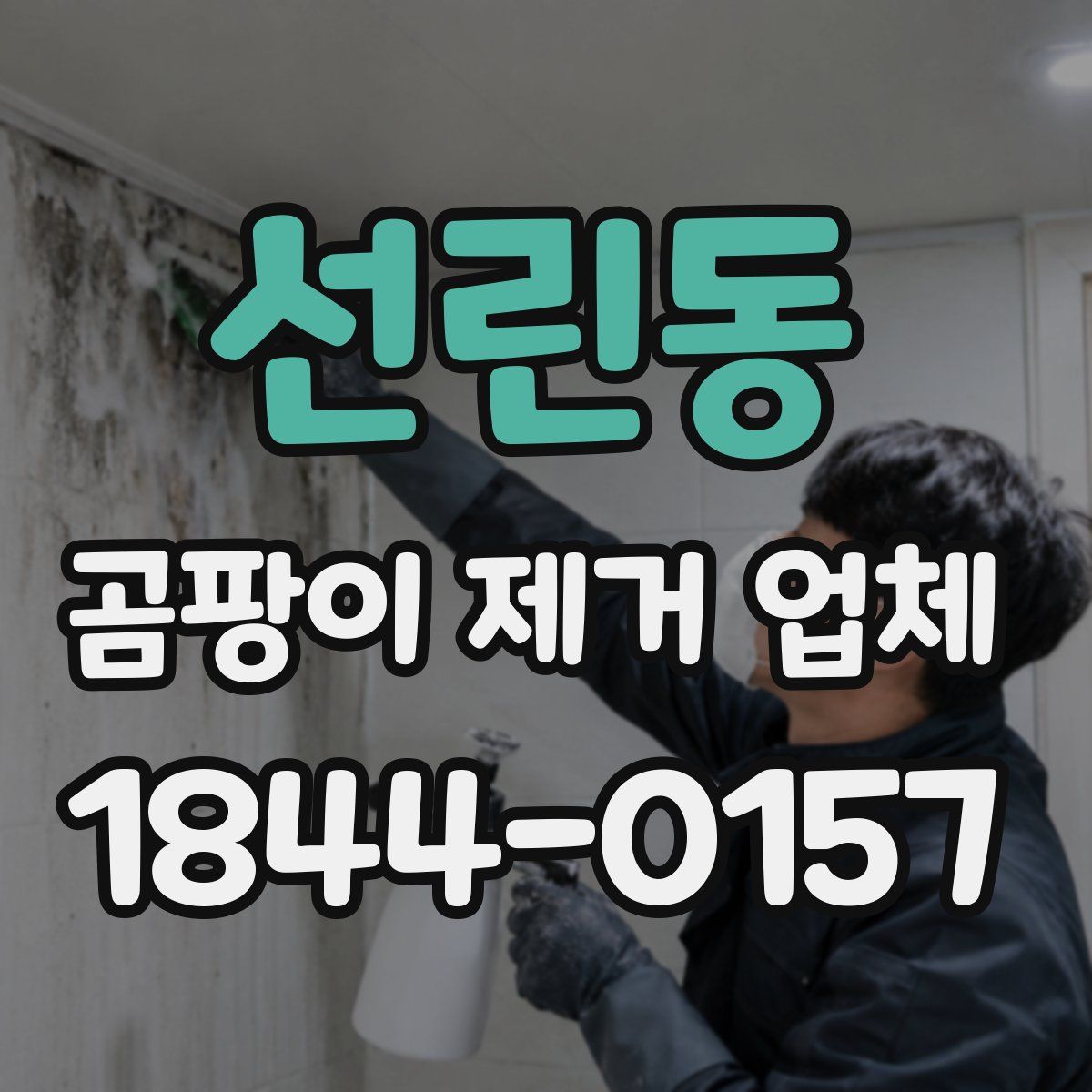 선린동 곰팡이 제거 업체