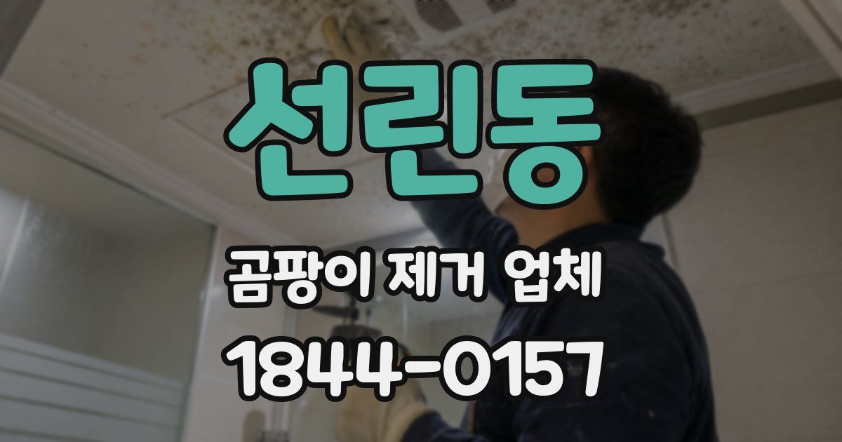 선린동 곰팡이 제거 업체