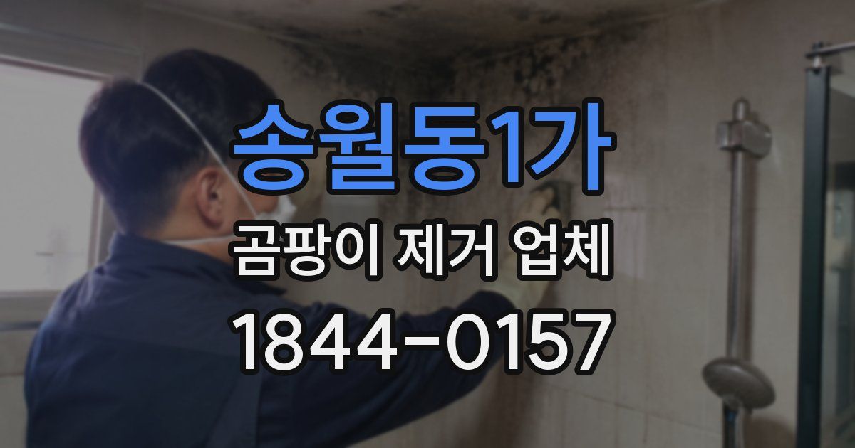 송월동1가 곰팡이 제거 업체
