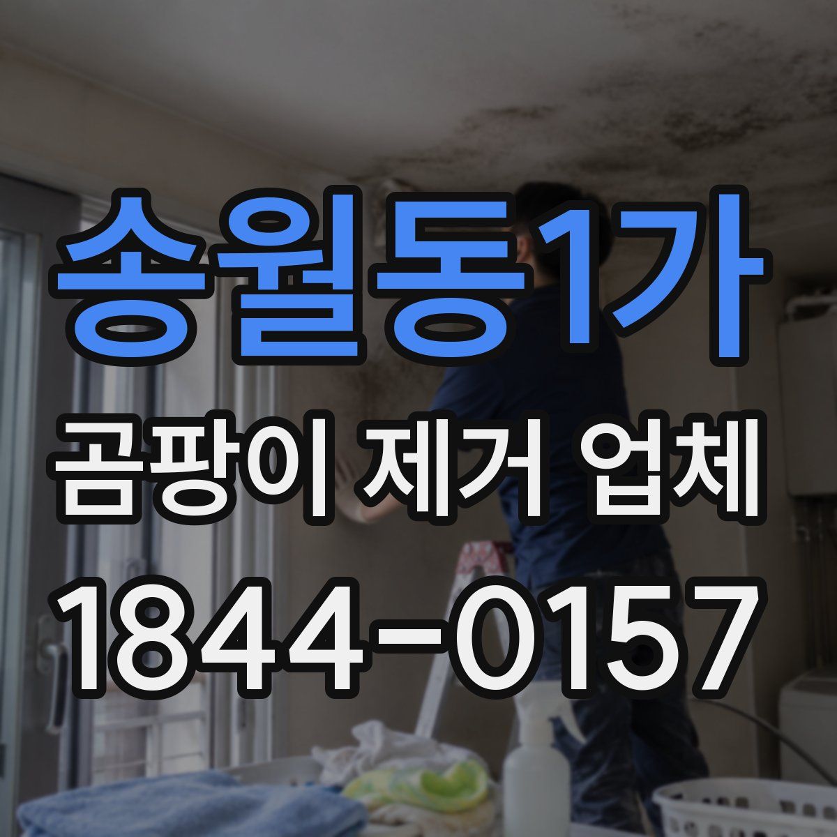 송월동1가 곰팡이 제거 업체