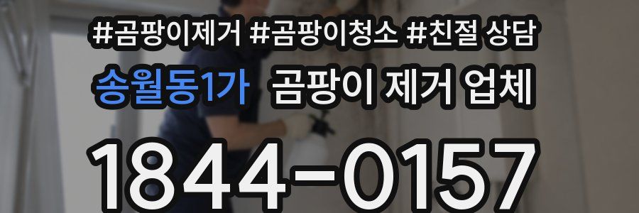 송월동1가 곰팡이 제거 업체