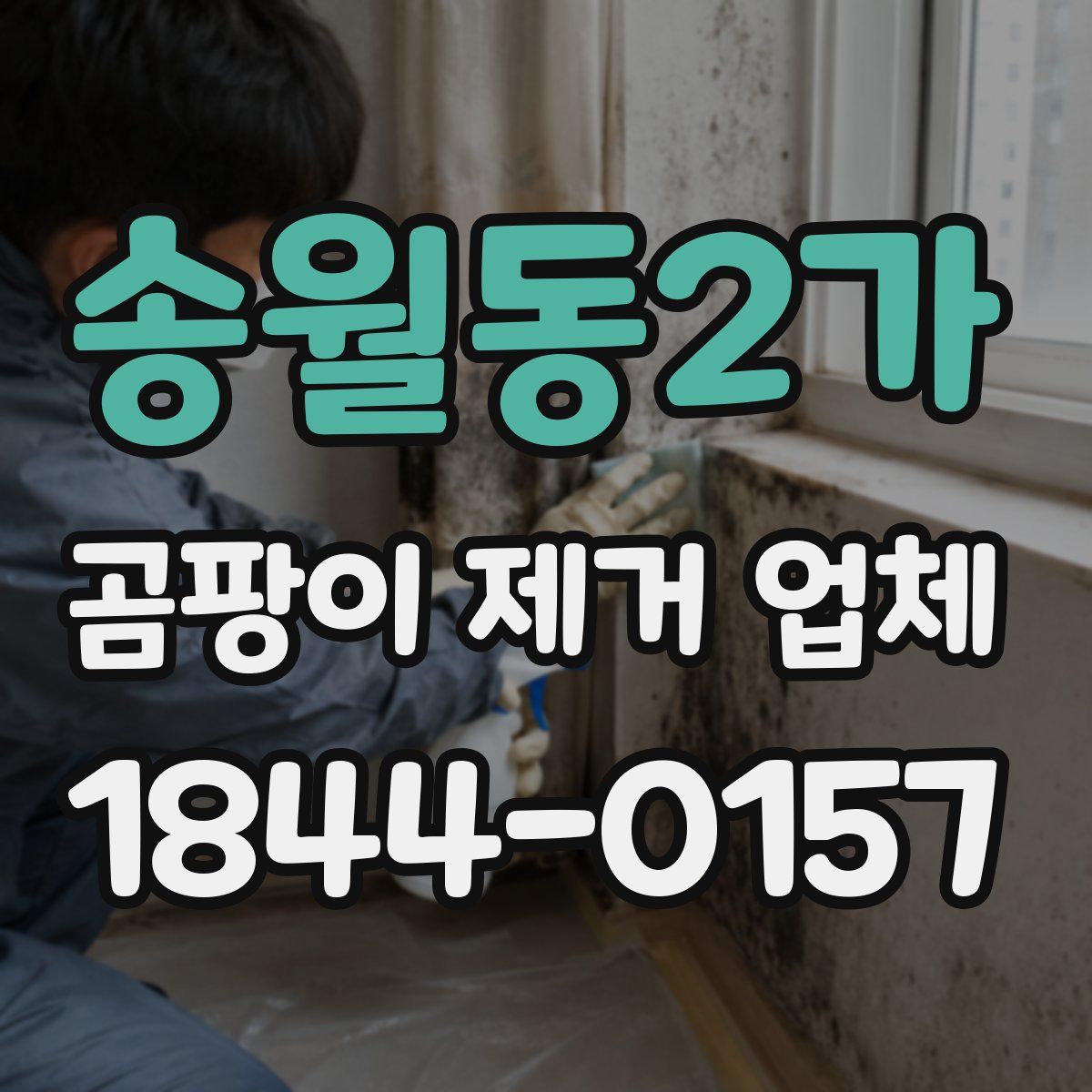 송월동2가 곰팡이 제거 업체