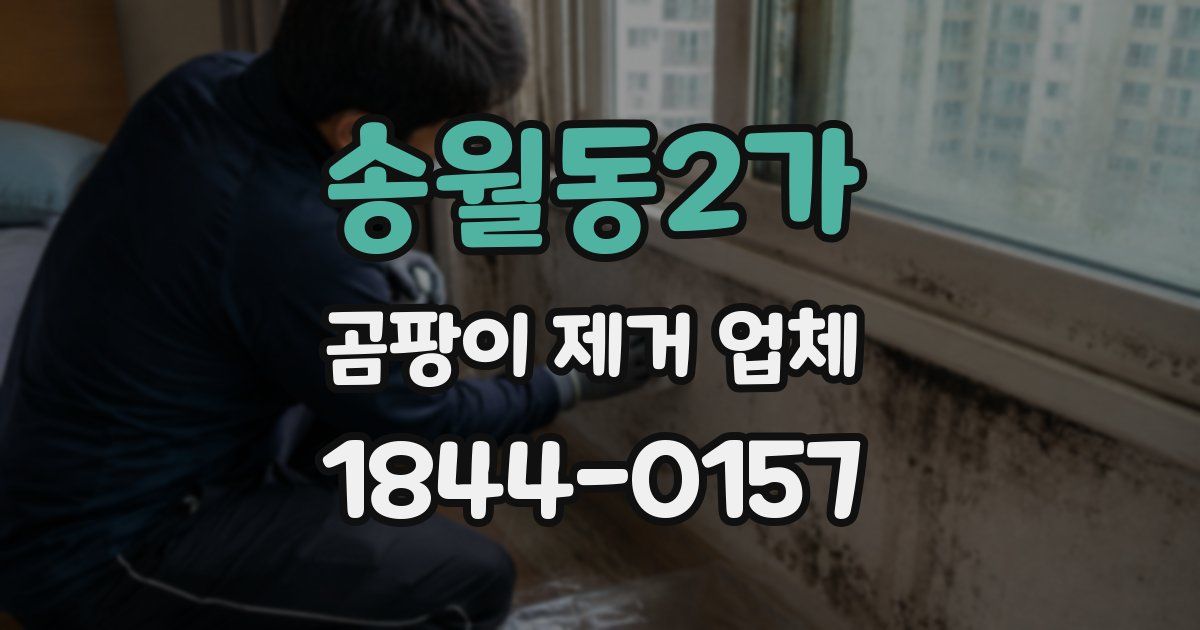 송월동2가 곰팡이 제거 업체