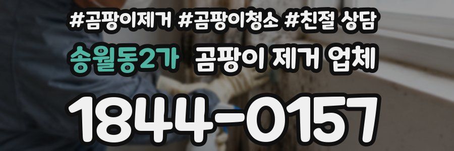 송월동2가 곰팡이 제거 업체