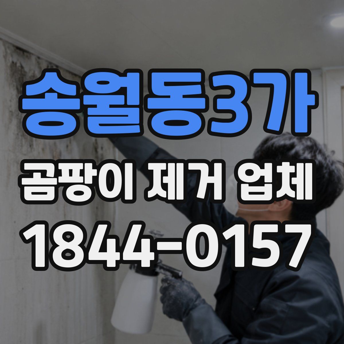 송월동3가 곰팡이 제거 업체