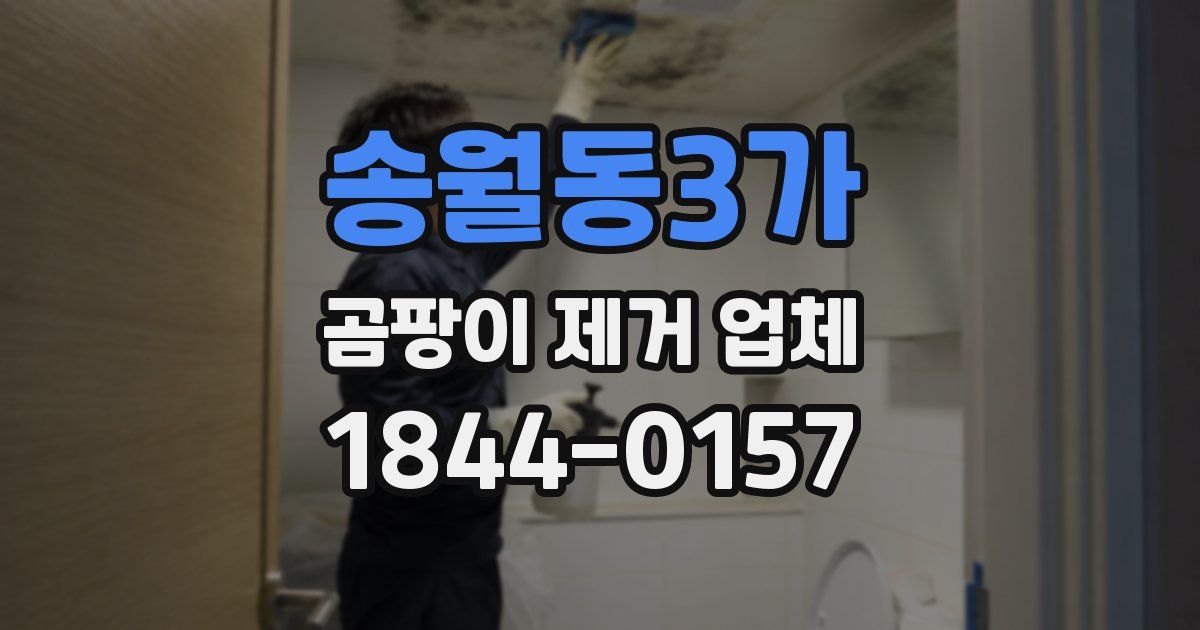 송월동3가 곰팡이 제거 업체
