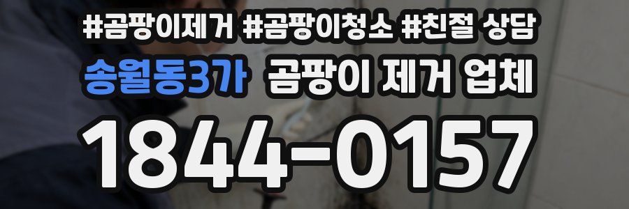 송월동3가 곰팡이 제거 업체