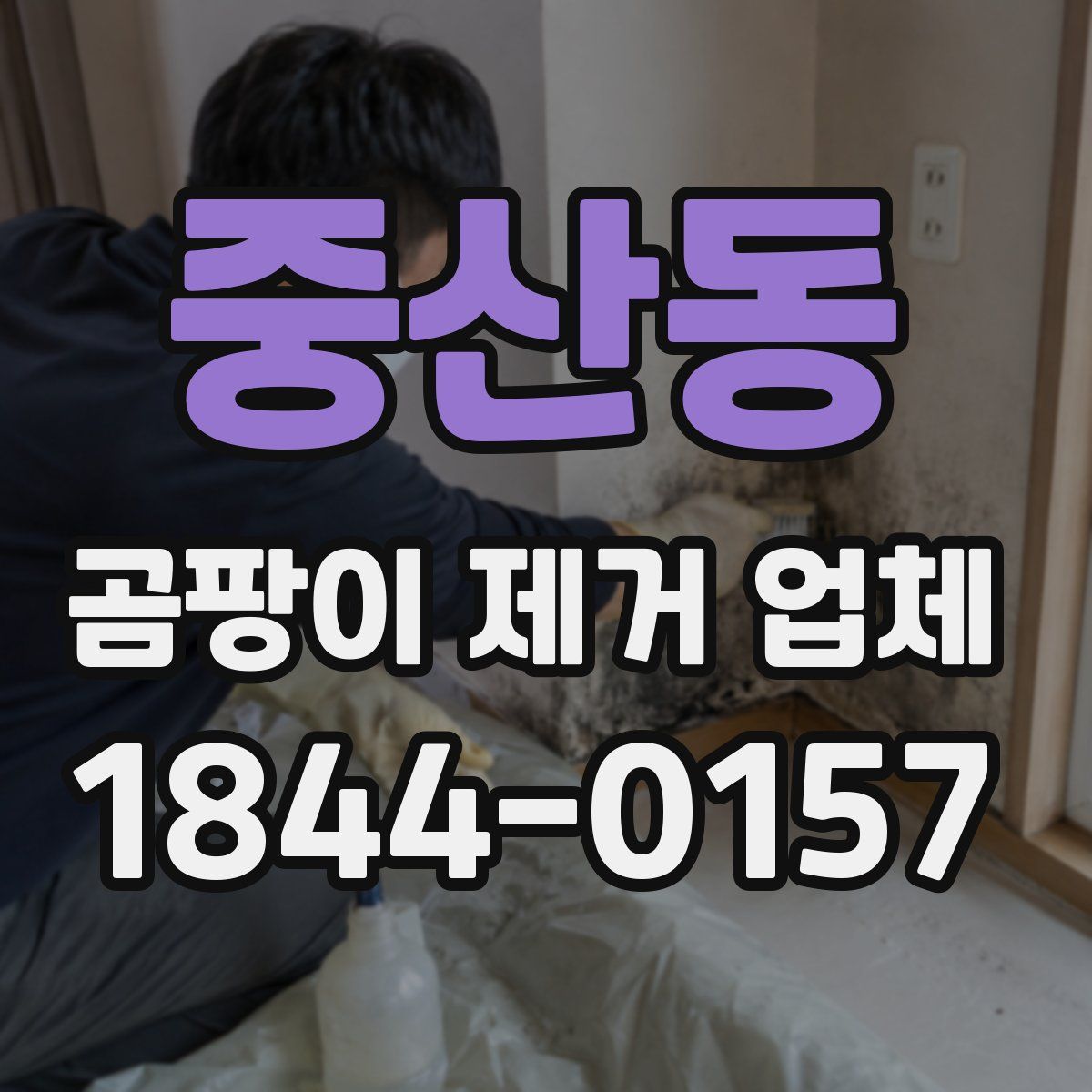 중산동 곰팡이 제거 업체