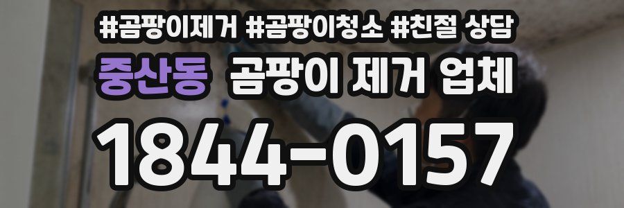 중산동 곰팡이 제거 업체