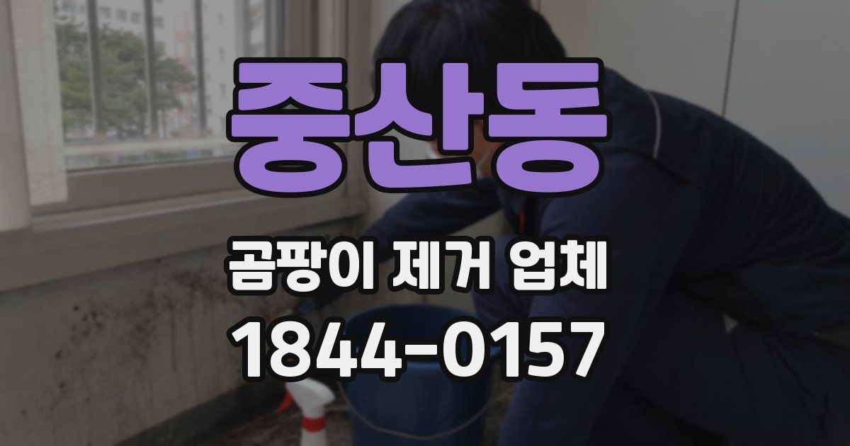 중산동 곰팡이 제거 업체