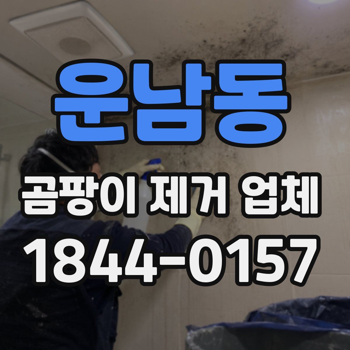 운남동 곰팡이 제거 업체