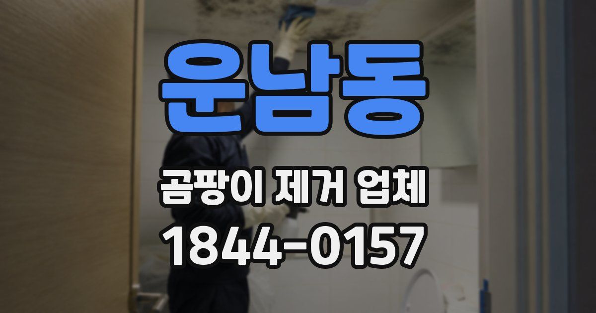 운남동 곰팡이 제거 업체