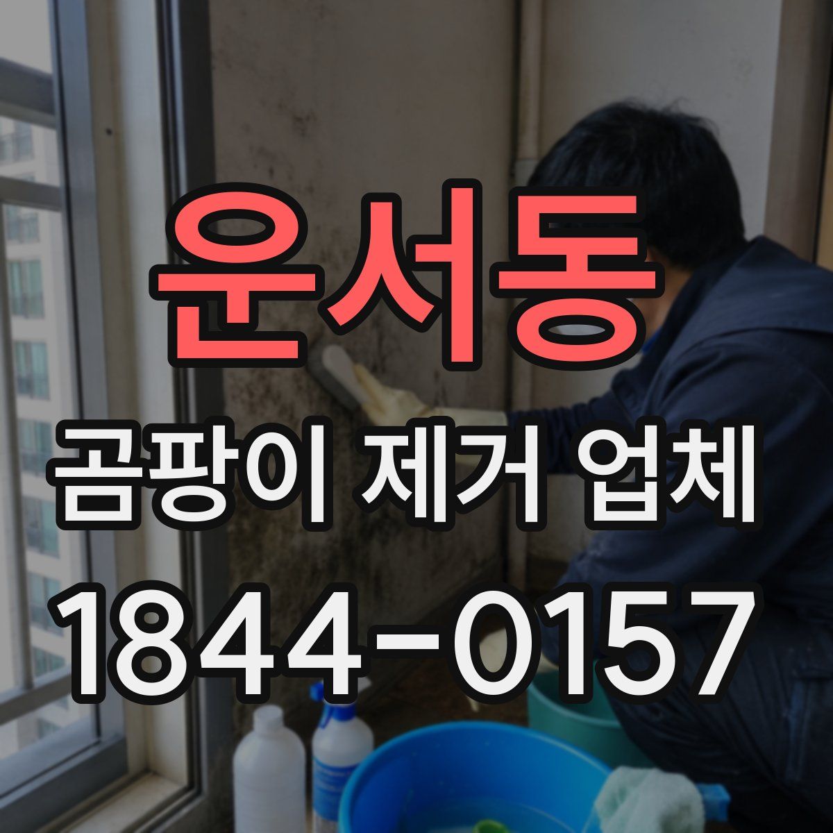 운서동 곰팡이 제거 업체