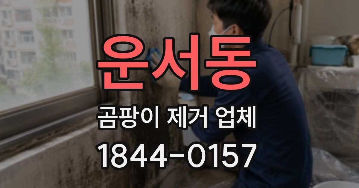 운서동 곰팡이 제거 업체