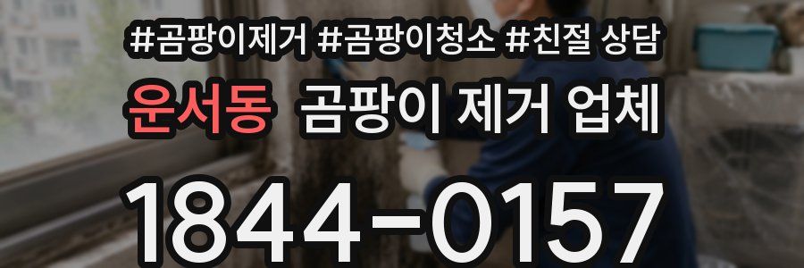 운서동 곰팡이 제거 업체