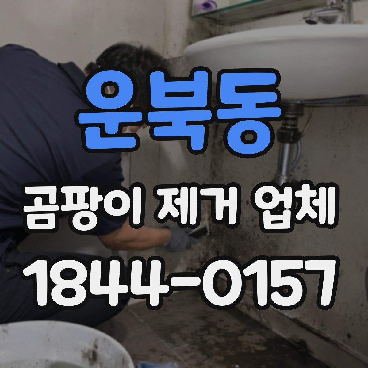 운북동 곰팡이 제거 업체 문의 전 확인하면 좋은 사진 예시