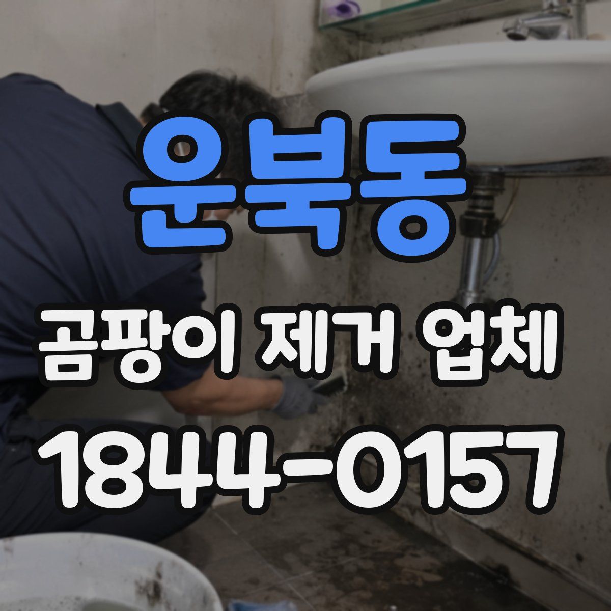 운북동 곰팡이 제거 업체