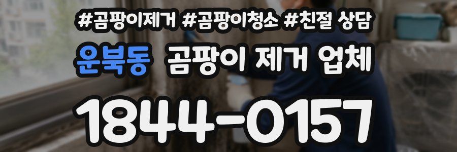 운북동 곰팡이 제거 업체
