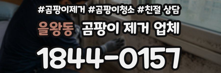 을왕동 곰팡이 제거 업체