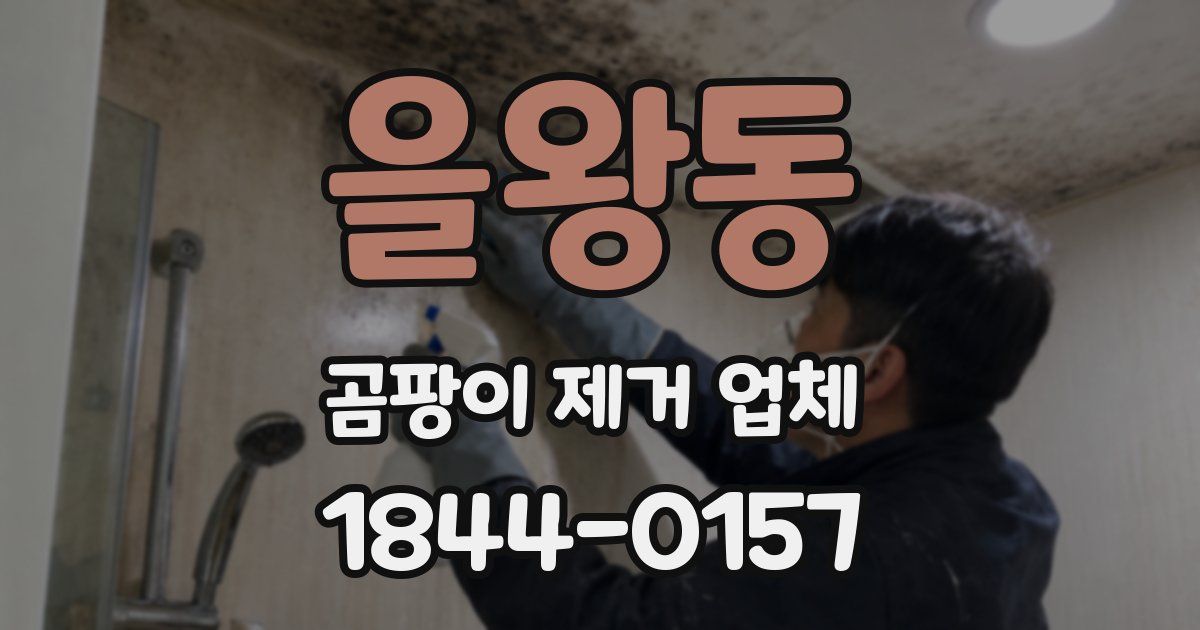 을왕동 곰팡이 제거 업체