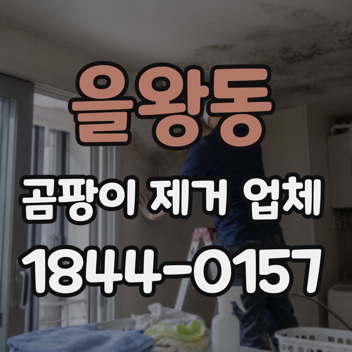 을왕동 곰팡이 제거 업체