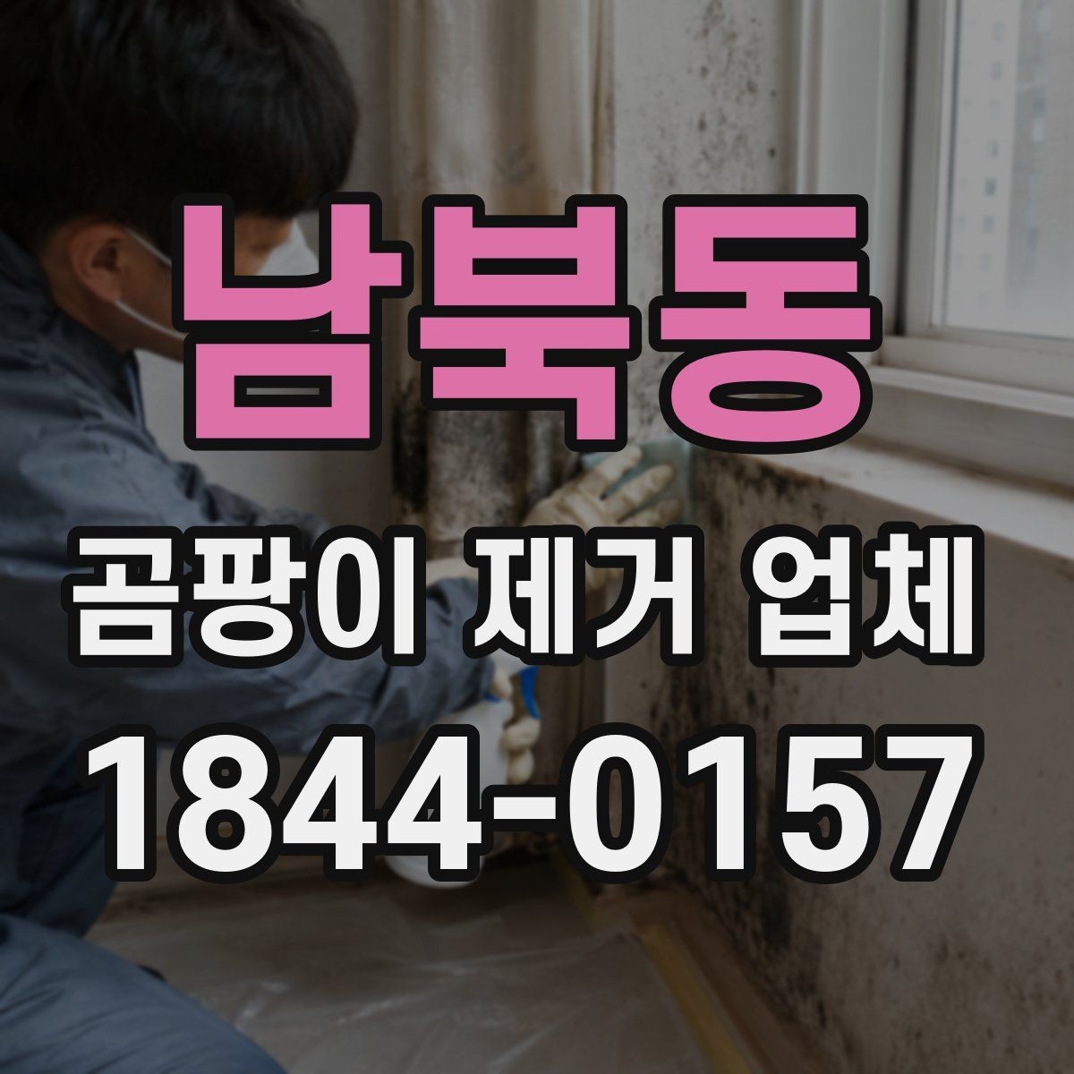 남북동 곰팡이 제거 업체 이용 전후 관리 팁
