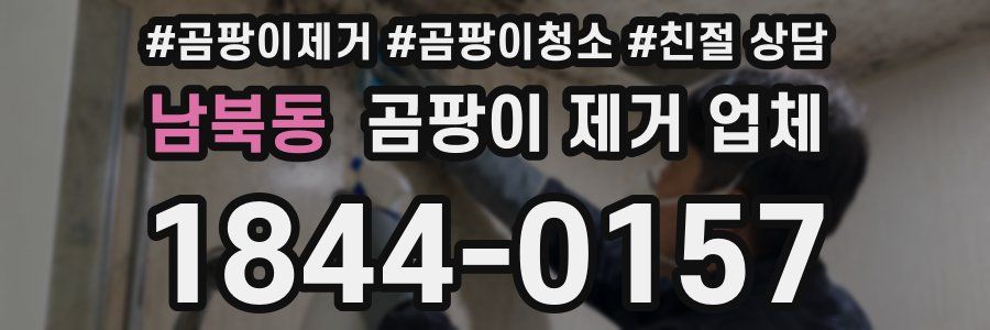 남북동 곰팡이 제거 업체