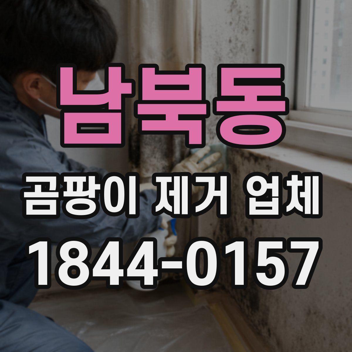 남북동 곰팡이 제거 업체