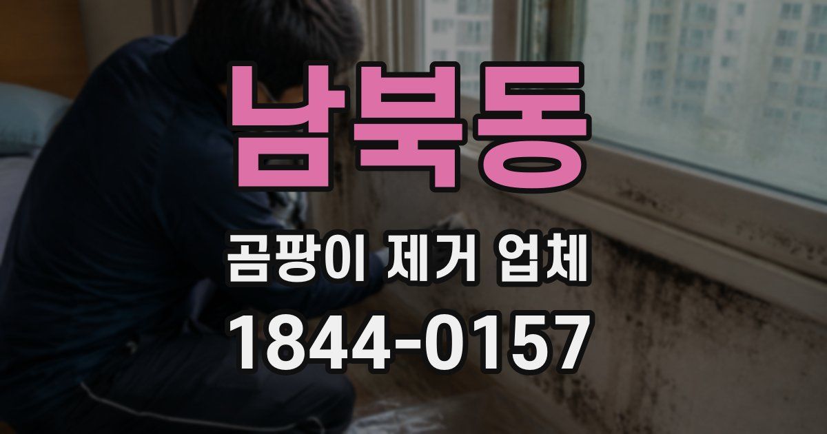 남북동 곰팡이 제거 업체