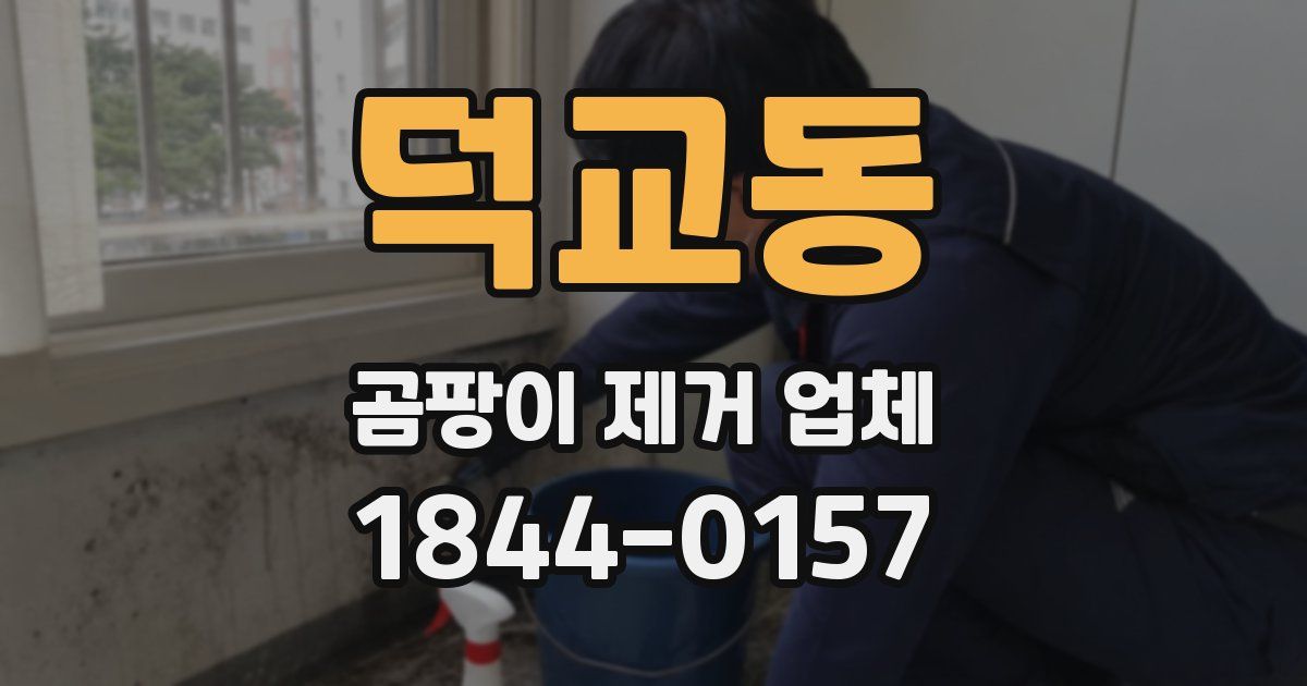 덕교동 곰팡이 제거 업체