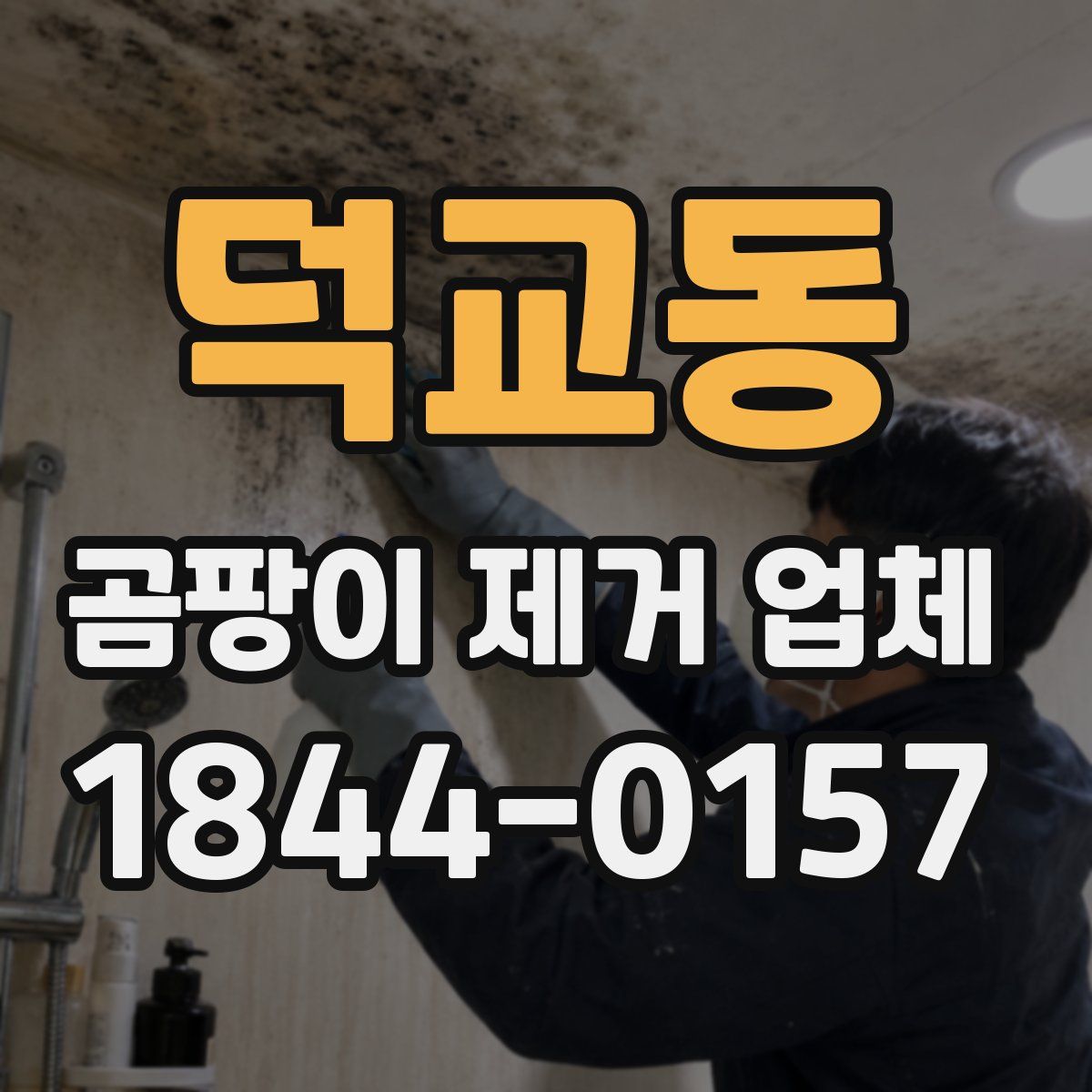 덕교동 곰팡이 제거 업체
