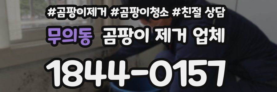 무의동 곰팡이 제거 업체