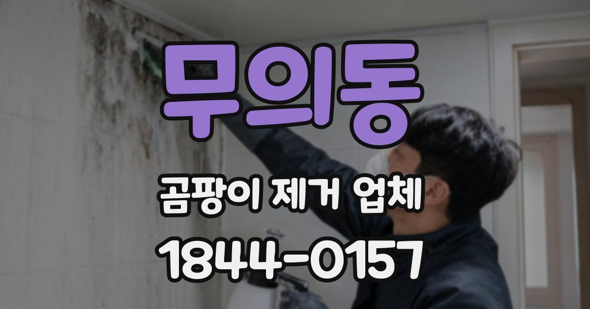 무의동 곰팡이 제거 업체