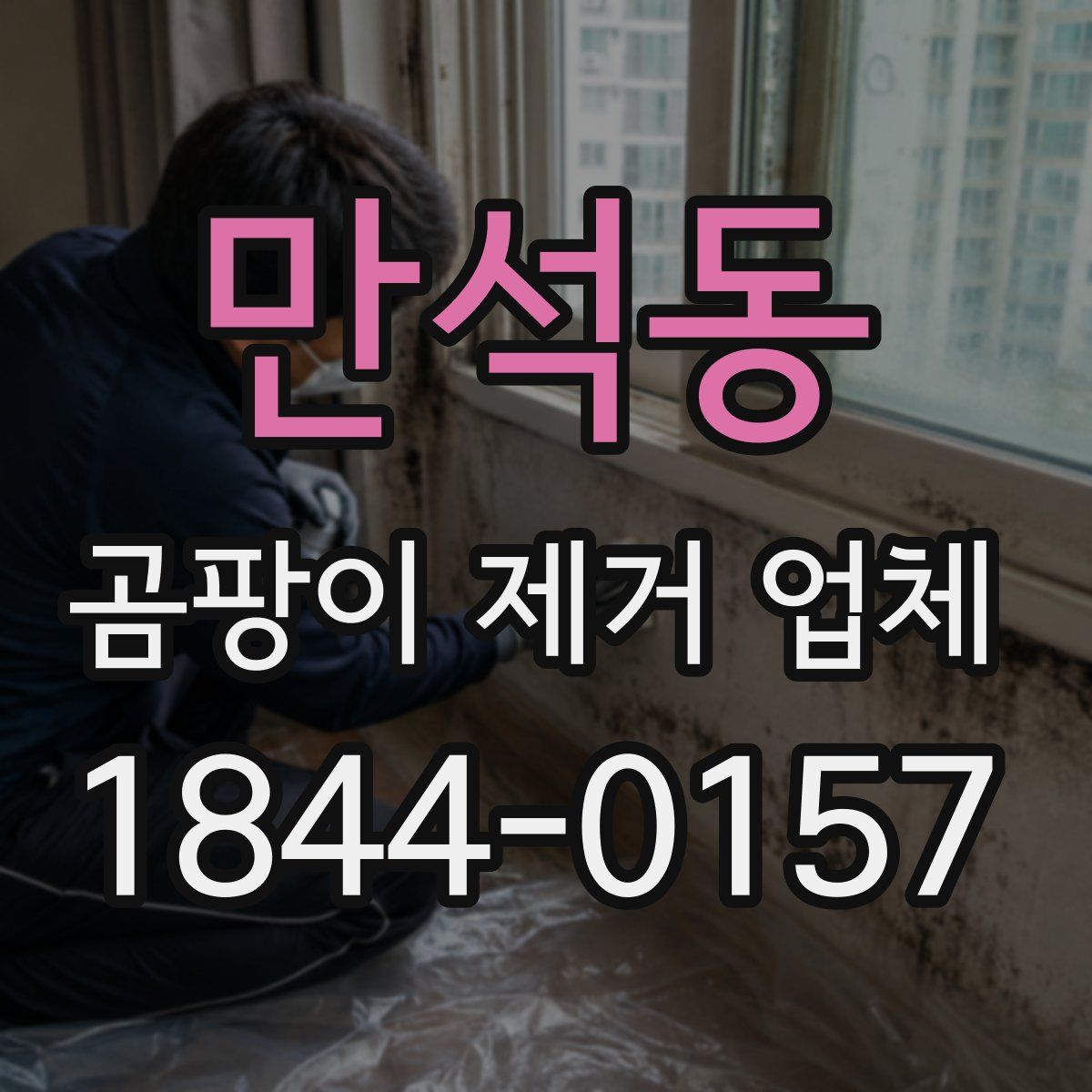 만석동 곰팡이 제거 업체