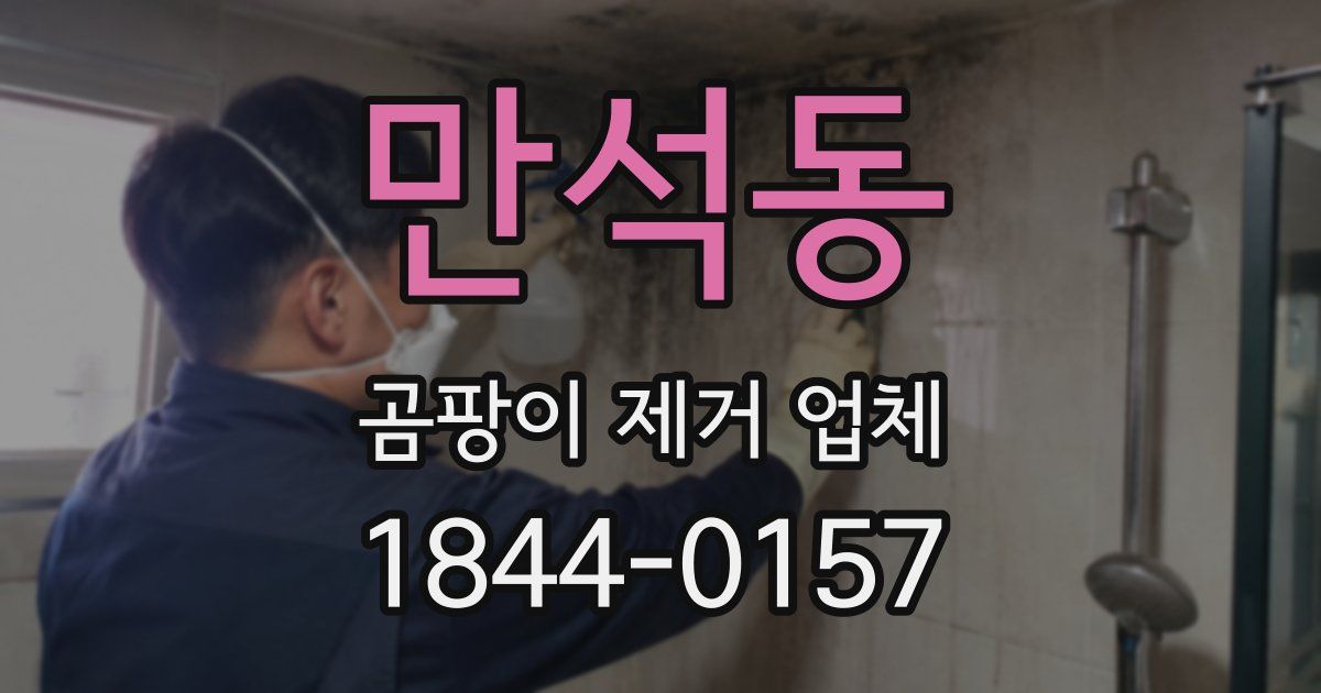 만석동 곰팡이 제거 업체