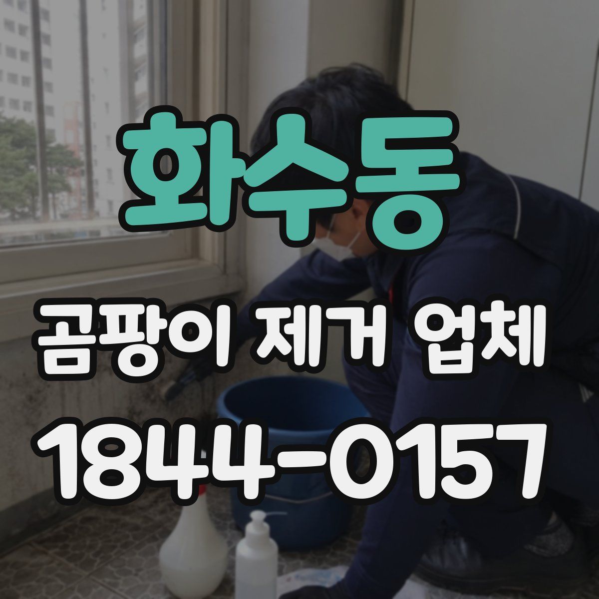 화수동 곰팡이 제거 업체