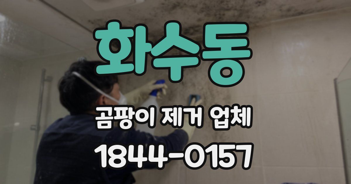 화수동 곰팡이 제거 업체