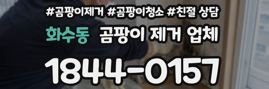 화수동 곰팡이 제거 업체
