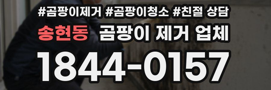 송현동 곰팡이 제거 업체