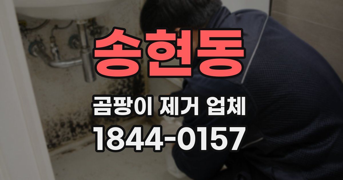 송현동 곰팡이 제거 업체