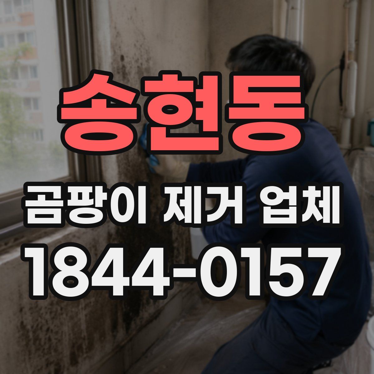 송현동 곰팡이 제거 업체