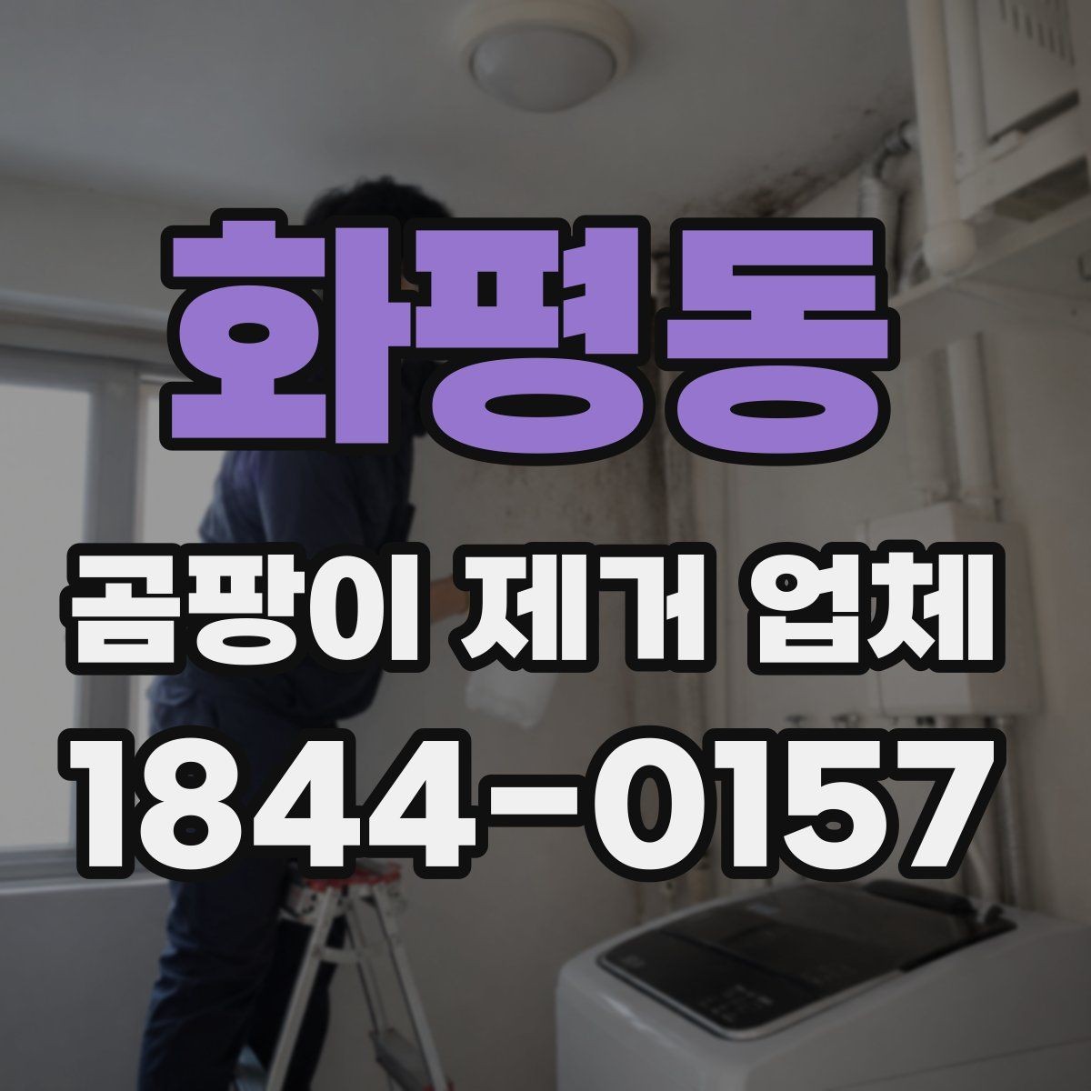 화평동 곰팡이 제거 업체 선택에 도움이 되는 체크리스트