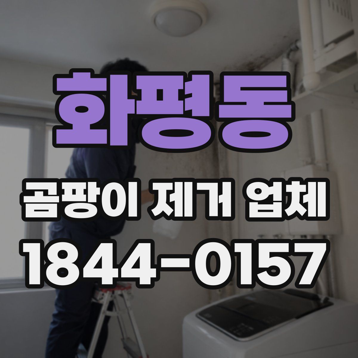 화평동 곰팡이 제거 업체
