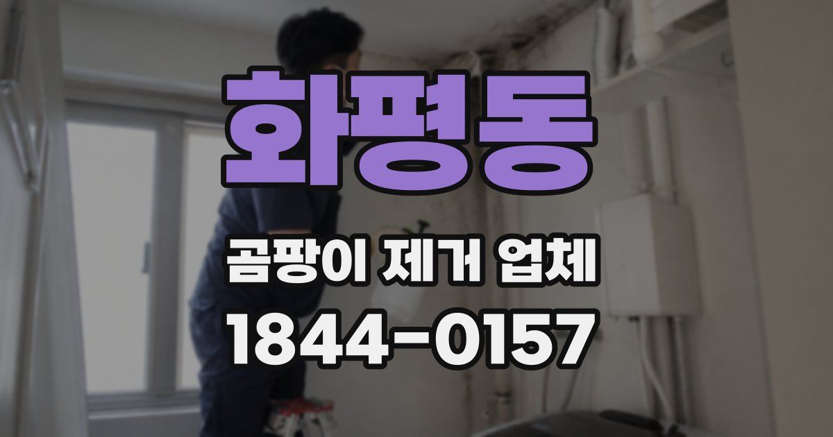 화평동 곰팡이 제거 업체
