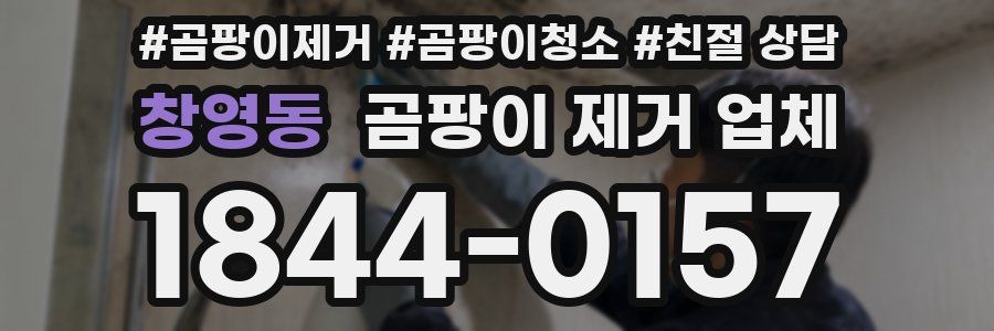 창영동 곰팡이 제거 업체