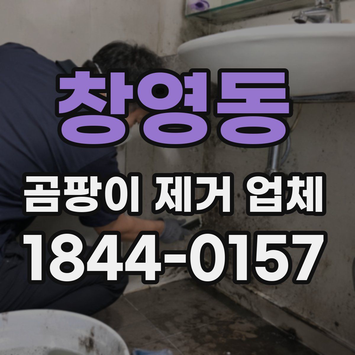 창영동 곰팡이 제거 업체
