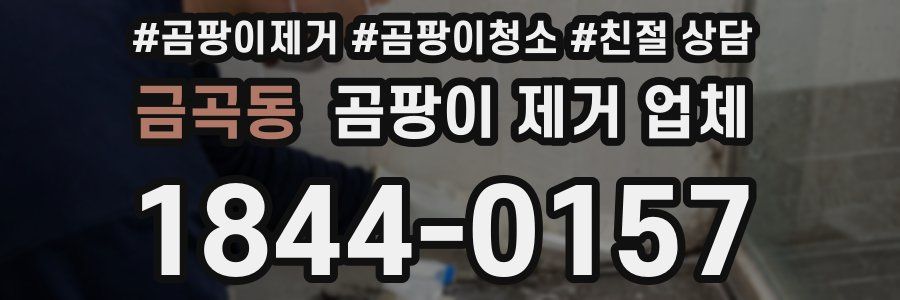 금곡동 곰팡이 제거 업체