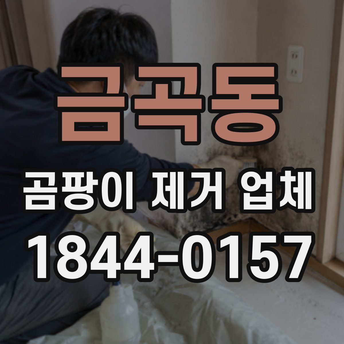 금곡동 곰팡이 제거 업체