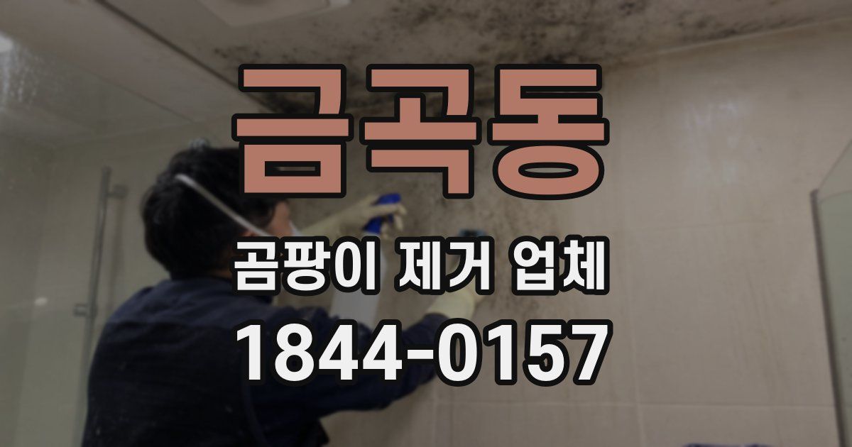 금곡동 곰팡이 제거 업체